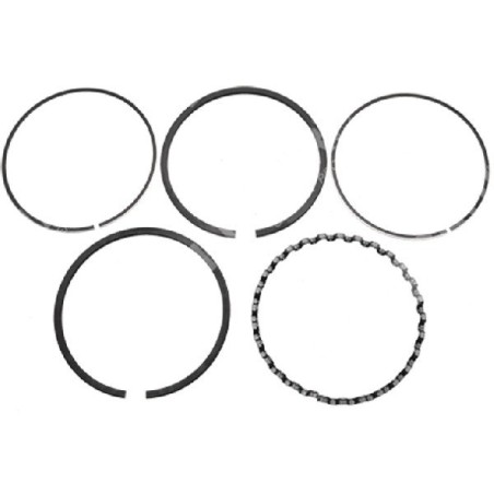 Kit segment carré BRIGGS & STRATTON diamètre 65,1 mm - 011592 | Newgardenstore.eu