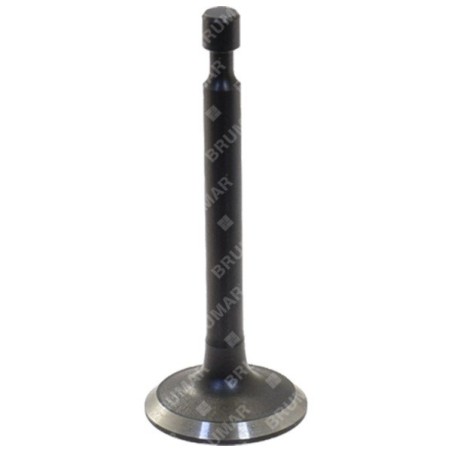 Intake valve for MAORI lawnmower - 055897 | Newgardenstore.eu