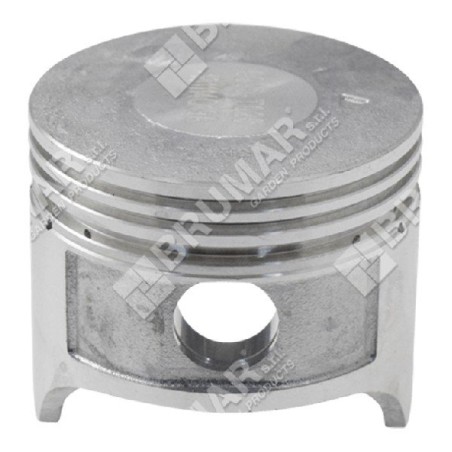 Pistone completo diametro 54 mm per motopompe DUCAR Compatibile - 049574 | Newgardenstore.eu