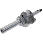 Kurbelwelle für DAYE-Motoren - DAYEE Y6410000000 - 055047