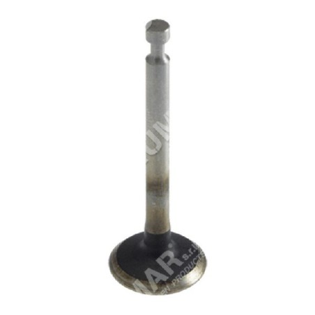 Exhaust valve for HONDA engines - 050647 | Newgardenstore.eu