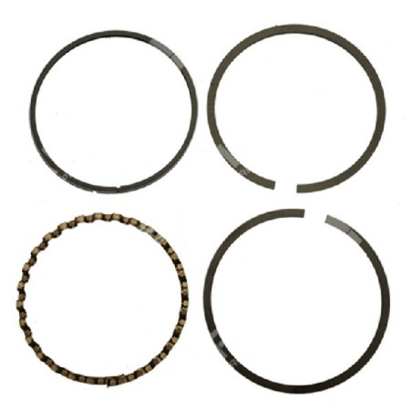 BRIGGS & STRATTON Quadratsegment-Kit Durchmesser 65,1 mm – 011593 | Newgardenstore.eu