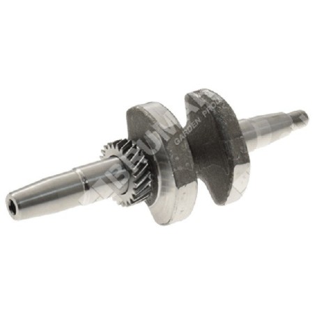 Kurbelwelle für DUCAR-Motorgeneratoren 240364 - 047657 | Newgardenstore.eu
