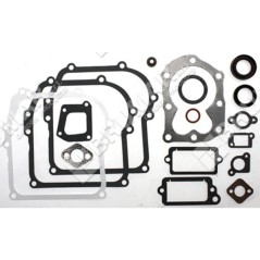 Gasket set for BRIGGS & STRATTON engines 590777 (ex 794209 - 699933) - 020201 | Newgardenstore.eu