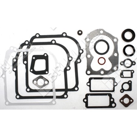 Gasket set for BRIGGS & STRATTON engines 590777 (ex 794209 - 699933) - 020201 | Newgardenstore.eu