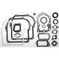 Gasket set for BRIGGS & STRATTON engines 590777 (ex 794209 - 699933) - 020201