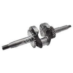 Kurbelwelle für DUCAR-Motorpumpen 210308 - 049586 | Newgardenstore.eu