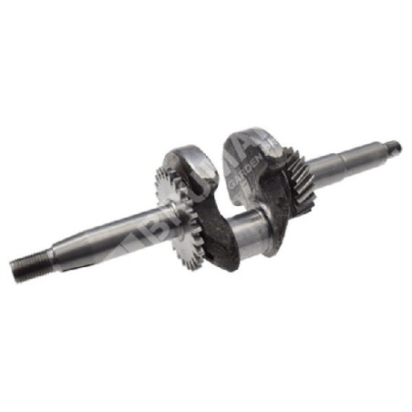 Kurbelwelle für DUCAR-Motorpumpen 210308 - 049586 | Newgardenstore.eu