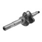 Crankshaft for DAYE lawnmower - DAYEE Y1410000000 - 023453