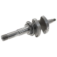 Kurbelwelle für DUCAR-Motorpumpen 250305 - 047350 | Newgardenstore.eu