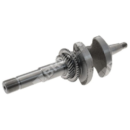 Kurbelwelle für DUCAR-Motorpumpen 250305 - 047350 | Newgardenstore.eu