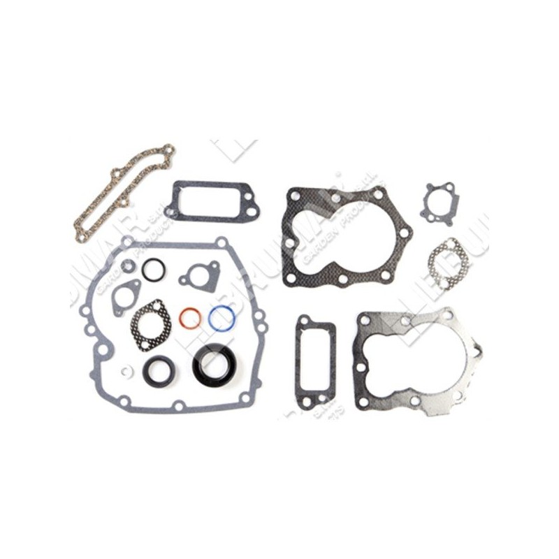 Gasket set for BRIGGS & STRATTON engines 590508 (ex 794307 - 497316) - 020281