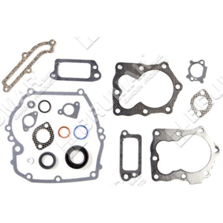 Juego de juntas para motores BRIGGS & STRATTON 590508 (ex 794307 - 497316) - 020281 | Newgardenstore.eu