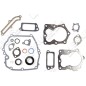 Gasket set for BRIGGS & STRATTON engines 590508 (ex 794307 - 497316) - 020281
