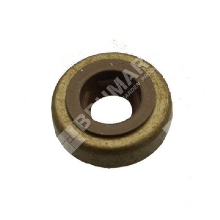 BRIGGS & STRATTON Ventildichtung 590410 - 048006 | Newgardenstore.eu