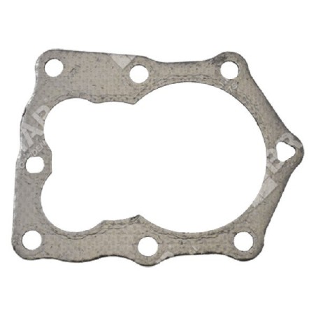 Head gasket for BRIGGS & STRATTON engines 799874 - 051349 | Newgardenstore.eu