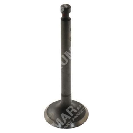 Intake valve kit for DUCAR engines - 047347 | Newgardenstore.eu