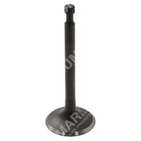 Kit Valvola di aspirazione per motori DUCAR Compatibile - 047133 | Newgardenstore.eu