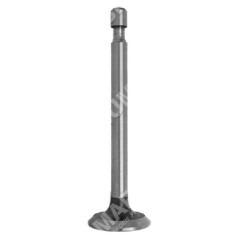Exhaust valve for HONDA engines - 016073 | Newgardenstore.eu