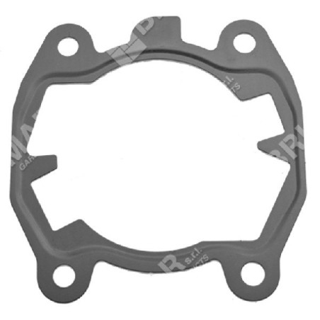 Joint de cylindre pour fraises STIHL 4224.029.2300 - 048986 | Newgardenstore.eu