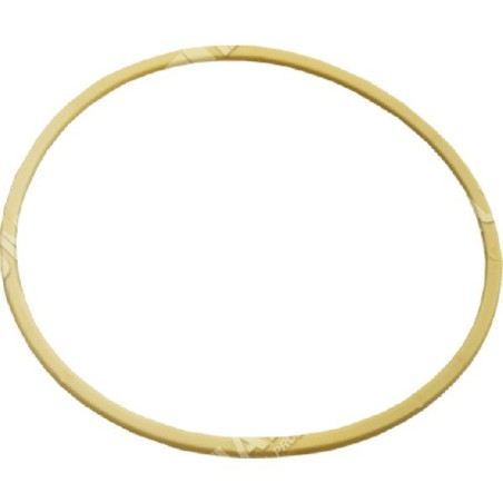 Joint de bouchon de réservoir pour atomiseurs DAL DEGAN 8040556000 - 016805 | Newgardenstore.eu