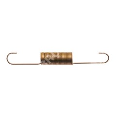 Geschwindigkeitsreglerfeder für BRIGGS & STRATTON-Motoren 710726 - 047714