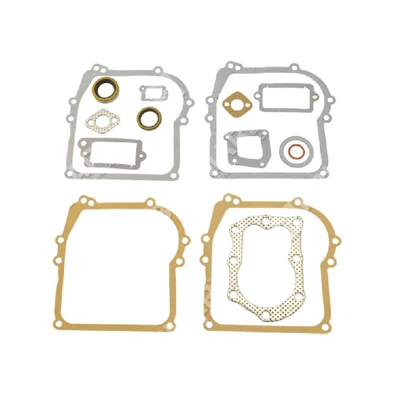 Series of gaskets for BRIGGS & STRATTON engines 298989 - 006888