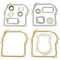 Dichtungsserie für BRIGGS & STRATTON-Motoren 298989 - 006888