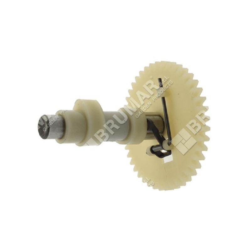 Crankshaft for DAYE engines - DAYEE Y1510000000 - 023479