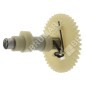 Kurbelwelle für DAYE-Motoren - DAYEE Y1510000000 - 023479