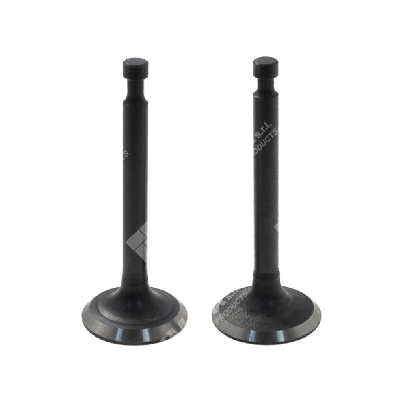 Intake and exhaust valve kit for LONCIN engines - 052082