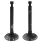 Kit válvulas de admisión y escape para motores LONCIN - 052082