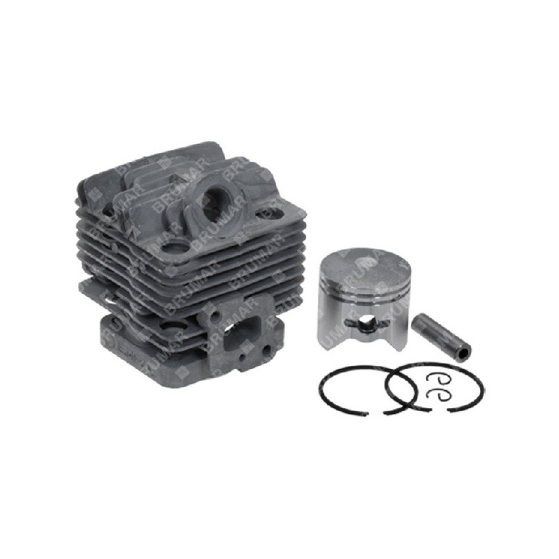 Cilindro completo per tagliasiepi BLX Compatibile - 059029