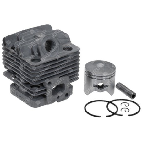 Cilindro completo per tagliasiepi BLX Compatibile - 059029 | Newgardenstore.eu