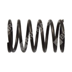 Muelle de válvula para motores KOHLER - 049989 | Newgardenstore.eu