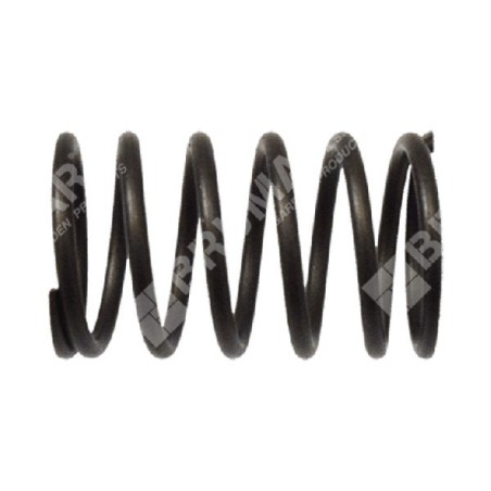 Muelle de válvula para motores KOHLER - 049989 | Newgardenstore.eu