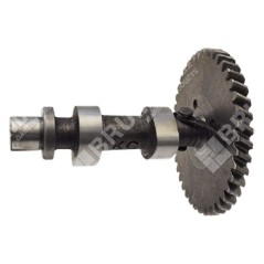 Kurbelwelle für DUCAR-Motorpumpen 222003 - 049588 | Newgardenstore.eu