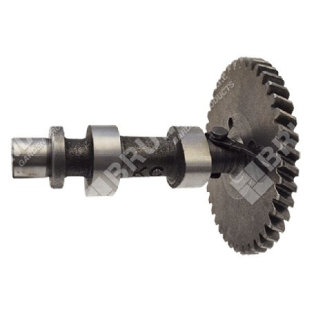 Kurbelwelle für DUCAR-Motorpumpen 222003 - 049588 | Newgardenstore.eu
