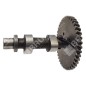 Crankshaft for DUCAR motor pumps 222003 - 049588