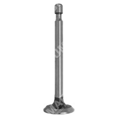 Exhaust valve for HONDA engines - 011856 | Newgardenstore.eu