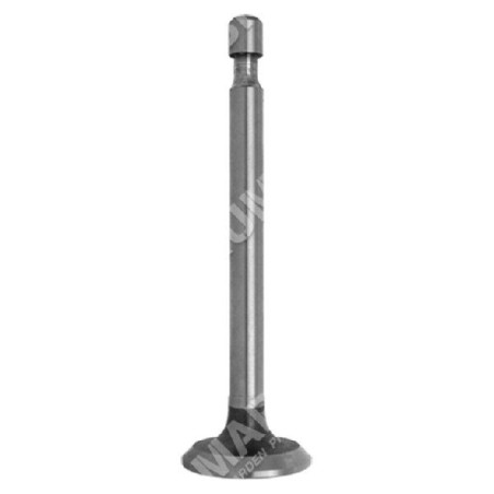 Exhaust valve for HONDA engines - 011852 | Newgardenstore.eu