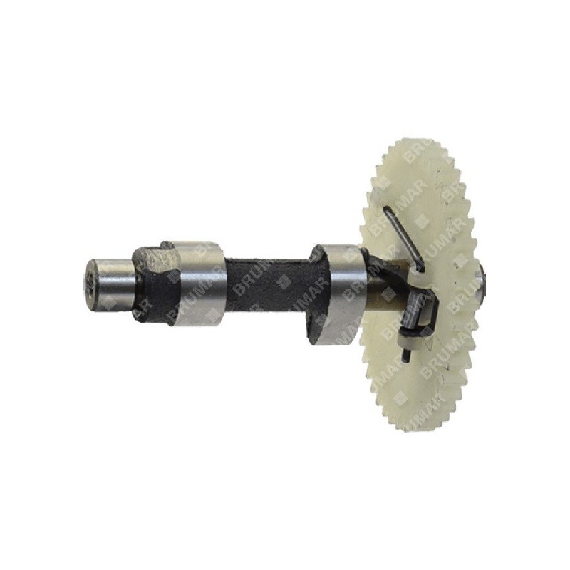 Camshaft for DAYE engines - DAYEE Y7510000000 - 054931