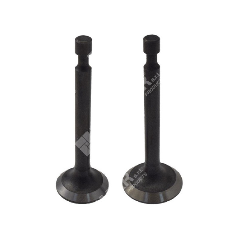 Einlass- und Auslassventilsatz für LONCIN-Motoren – 049362