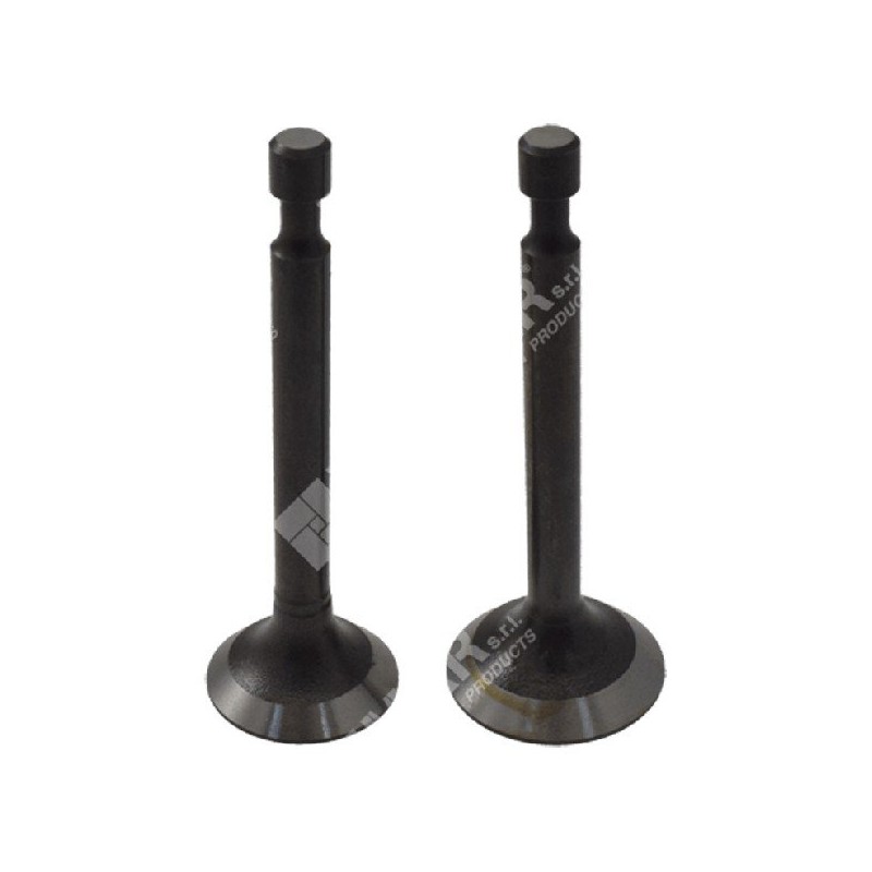 Einlass- und Auslassventilsatz für LONCIN-Motoren – 049055