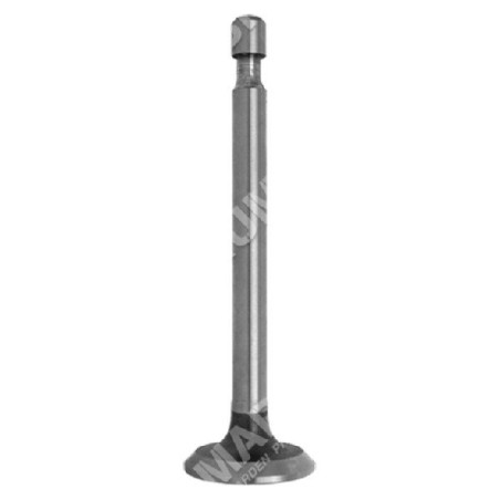 Exhaust valve for HONDA engines - 011844 | Newgardenstore.eu