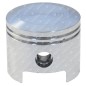 Pistone  per soffiatori GREEN LINE Compatibile - 055817