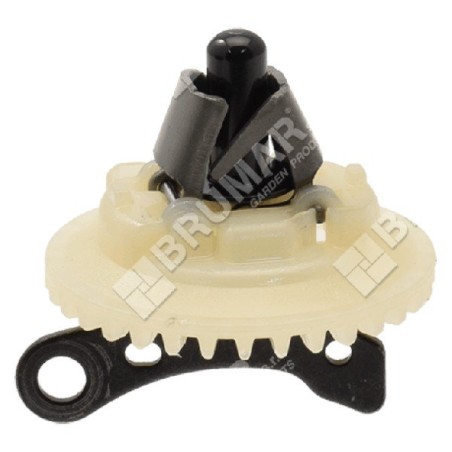 Engranaje de árbol de levas para motores YAMAHA - 055248 | Newgardenstore.eu