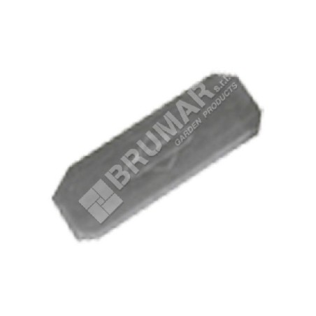 Chiavetta per motori BRIGGS & STRATTON 4181 Compatibile - 020128 | Newgardenstore.eu