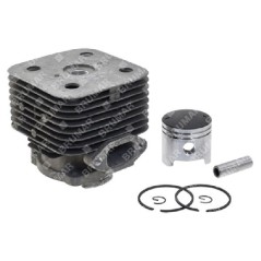 Cilindro completo per decespugliatori ZOMAX Compatibile - 052010 | Newgardenstore.eu