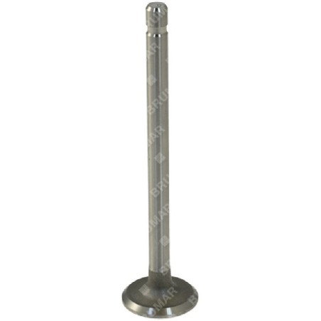 Exhaust valve for KOHLER engines - 011898 | Newgardenstore.eu